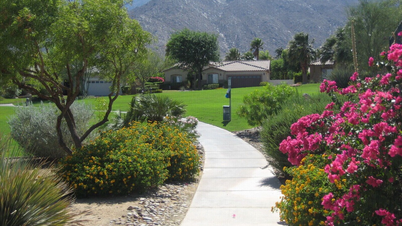 Photo of Others in Palm Springs