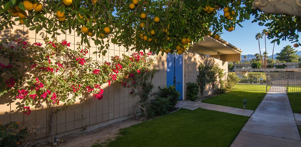 Photo of Others in Palm Desert