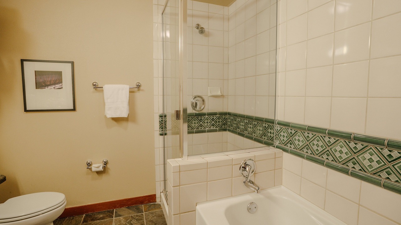 Photo of Bathroom in Olympic Valley