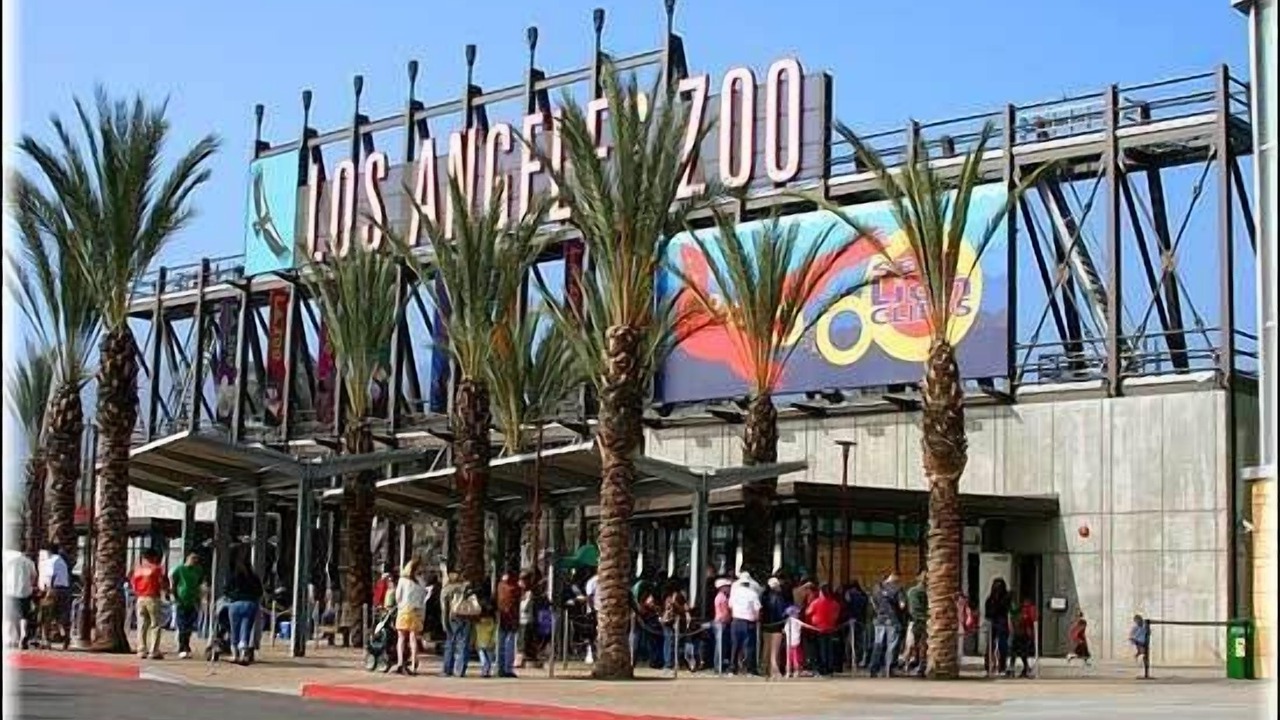 Photo of Others in Downtown