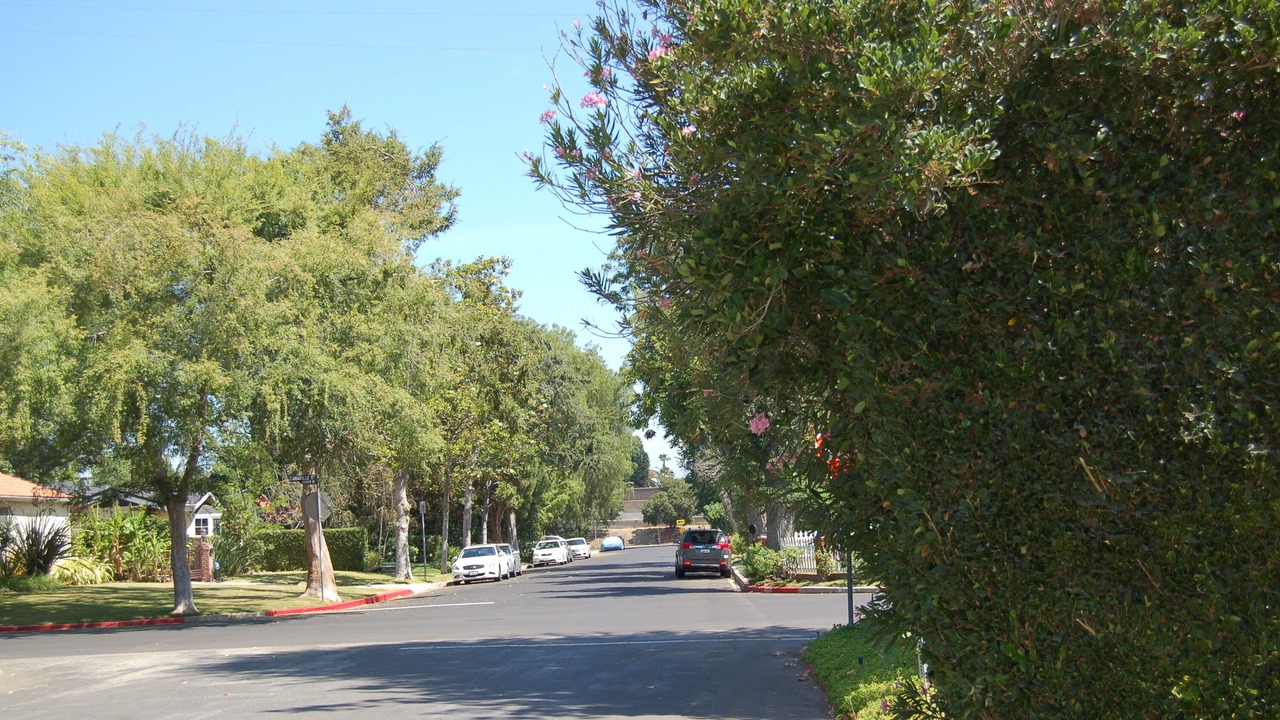Photo of Others in Sherman Oaks