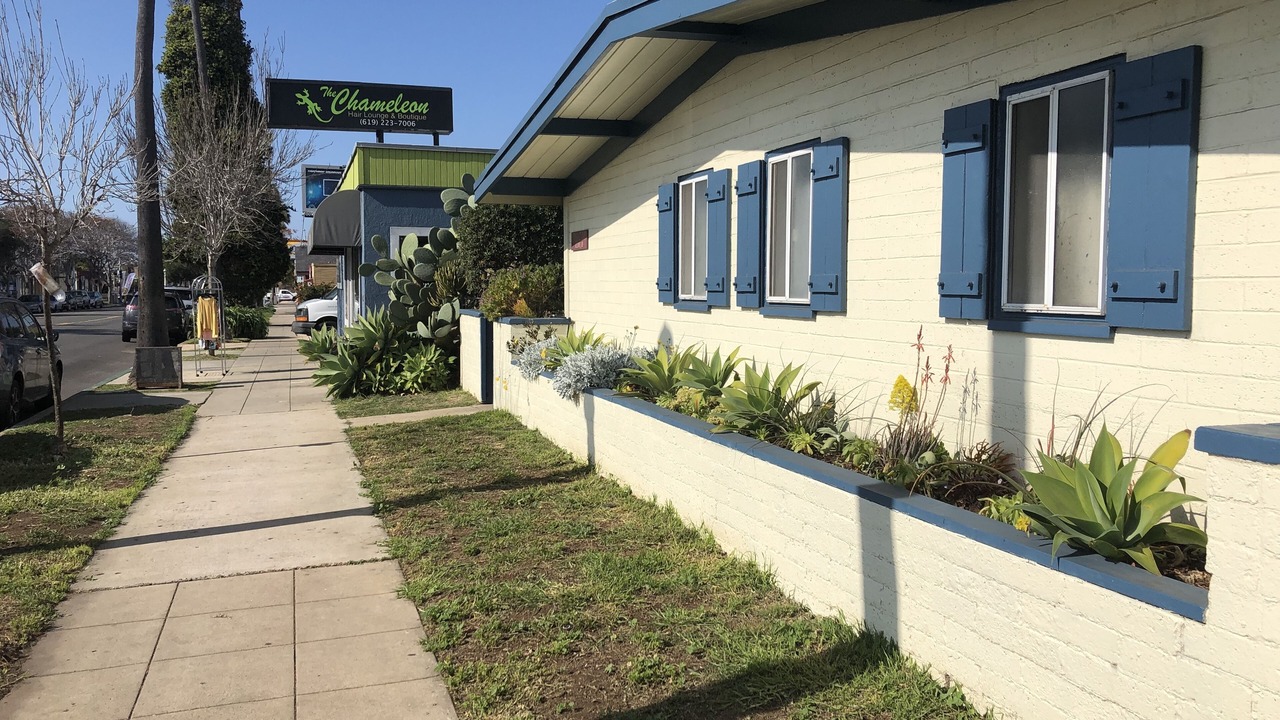 Photo of Outdoor in Ocean Beach
