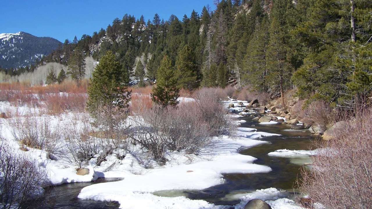 Photo of Outdoor in Markleeville