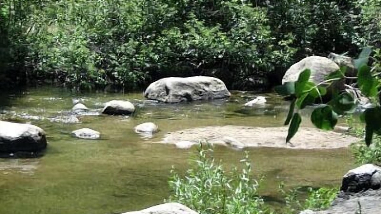 Photo of Outdoor in Markleeville