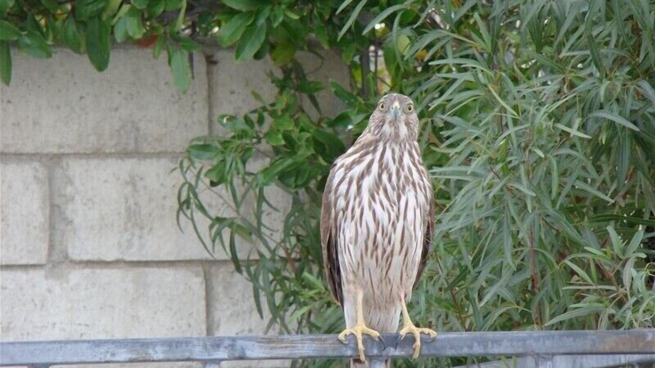 Photo of Others in Cathedral City Cove