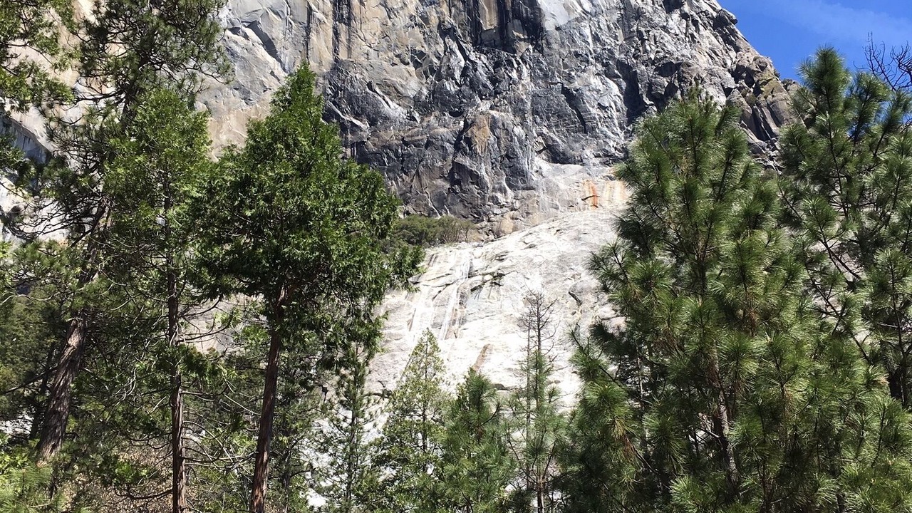 Photo of Others in Midpines