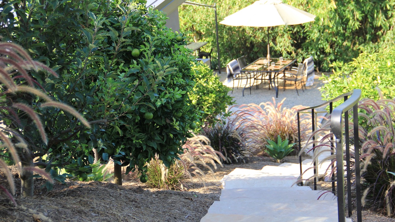 Photo of Others in Montecito