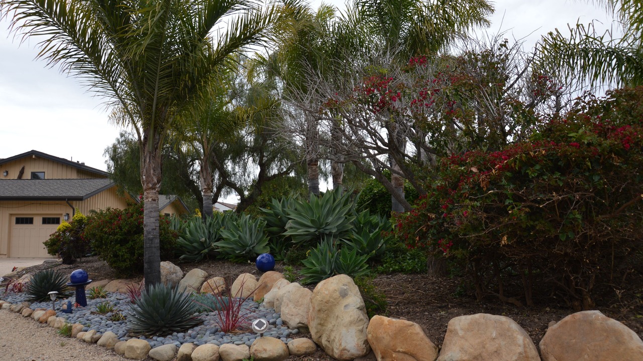 Photo of Others in Santa Barbara