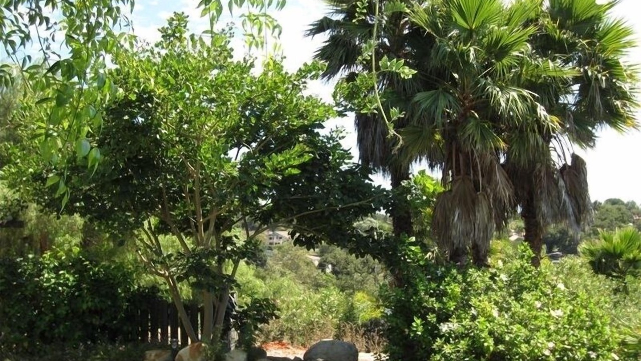 Photo of Others in Santa Barbara