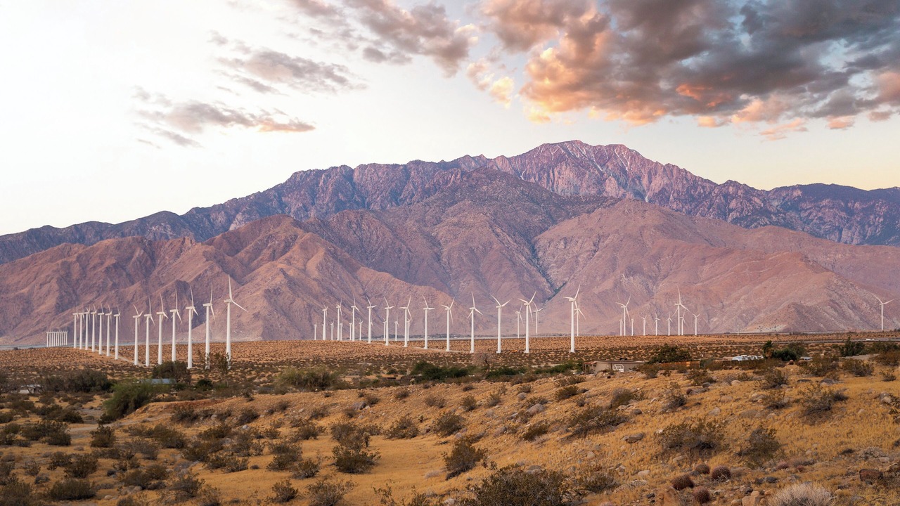Photo of Others in Coachella Valley
