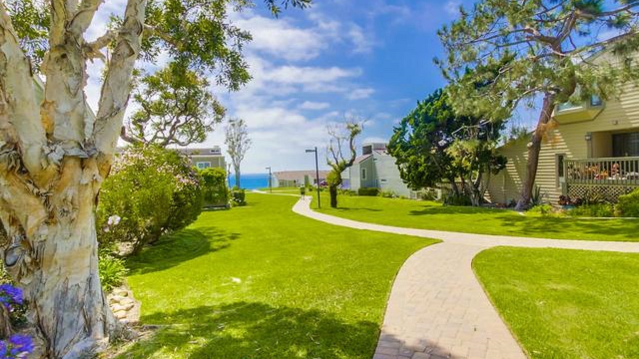 Photo of Outdoor in Encinitas