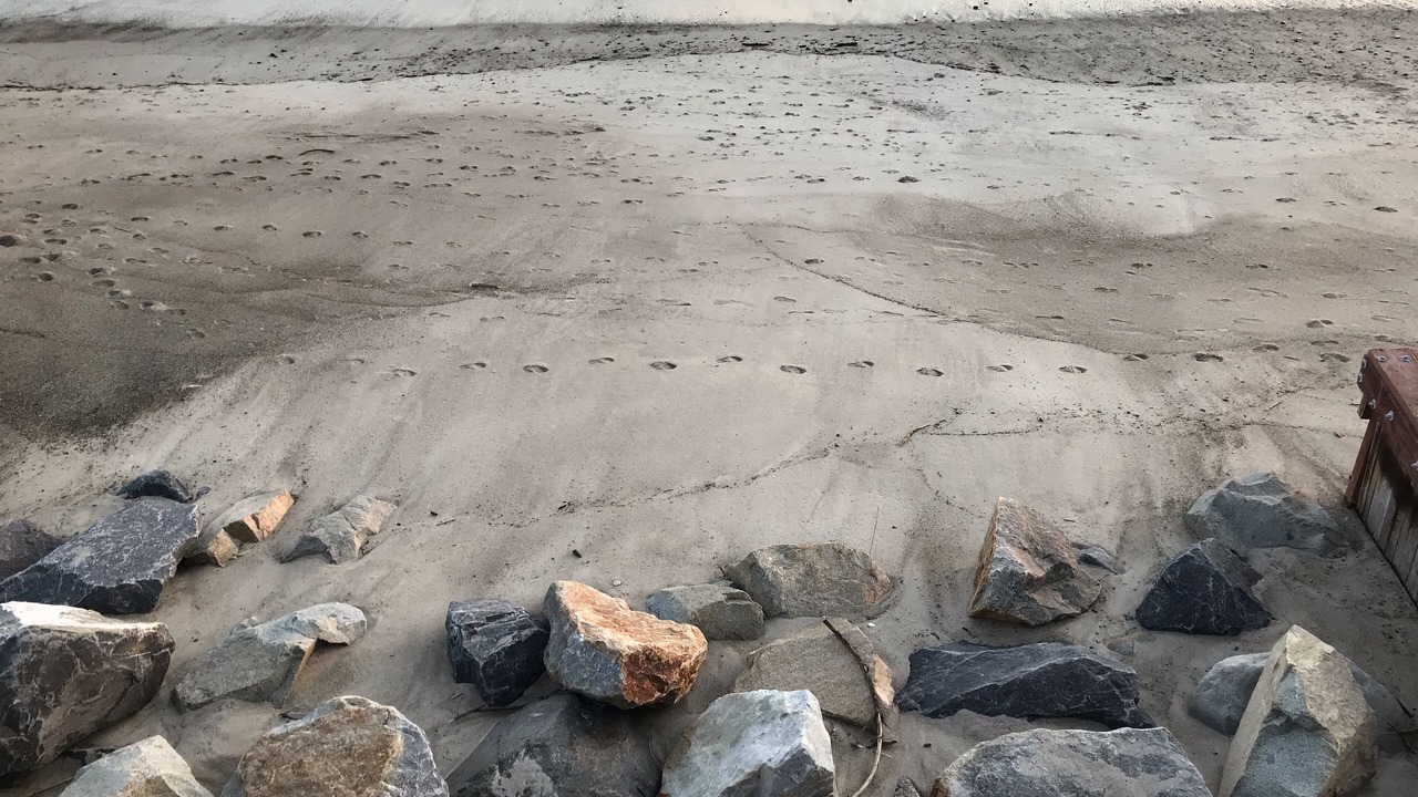 Photo of Others in Capistrano Beach