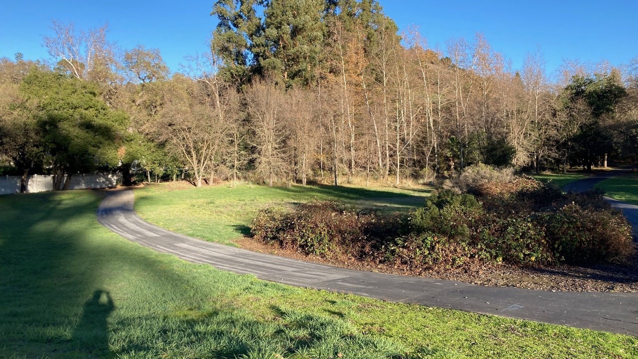 Photo of Outdoor in Los Gatos