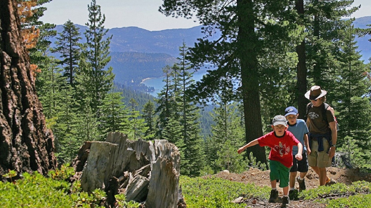 Photo of Others in Truckee