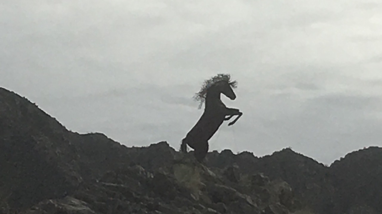 Photo of Others in La Quinta Cove