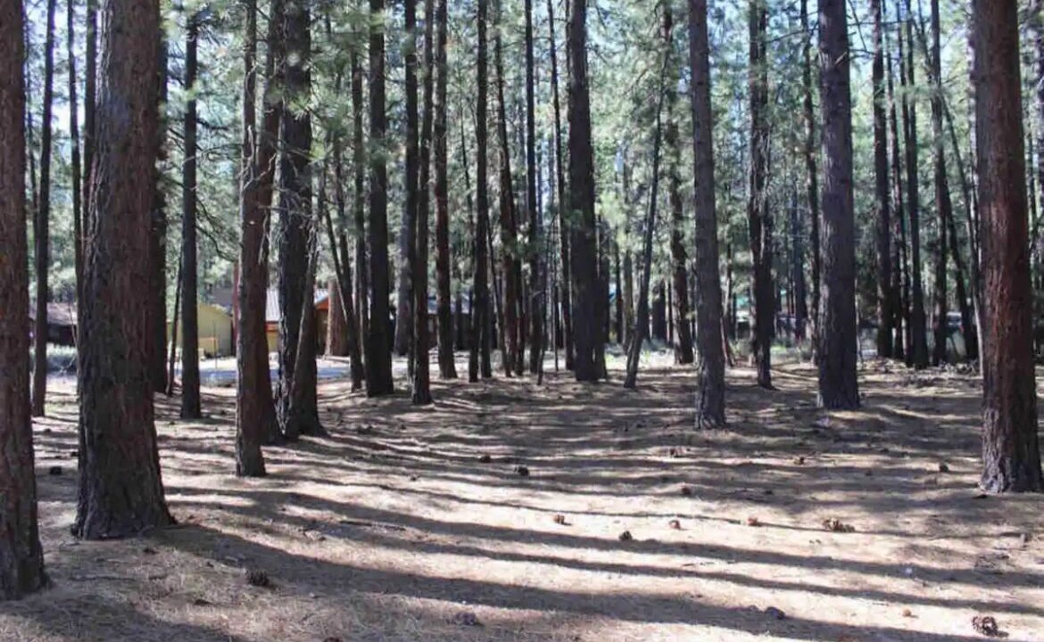 Photo of Others in Bijou Park Acres
