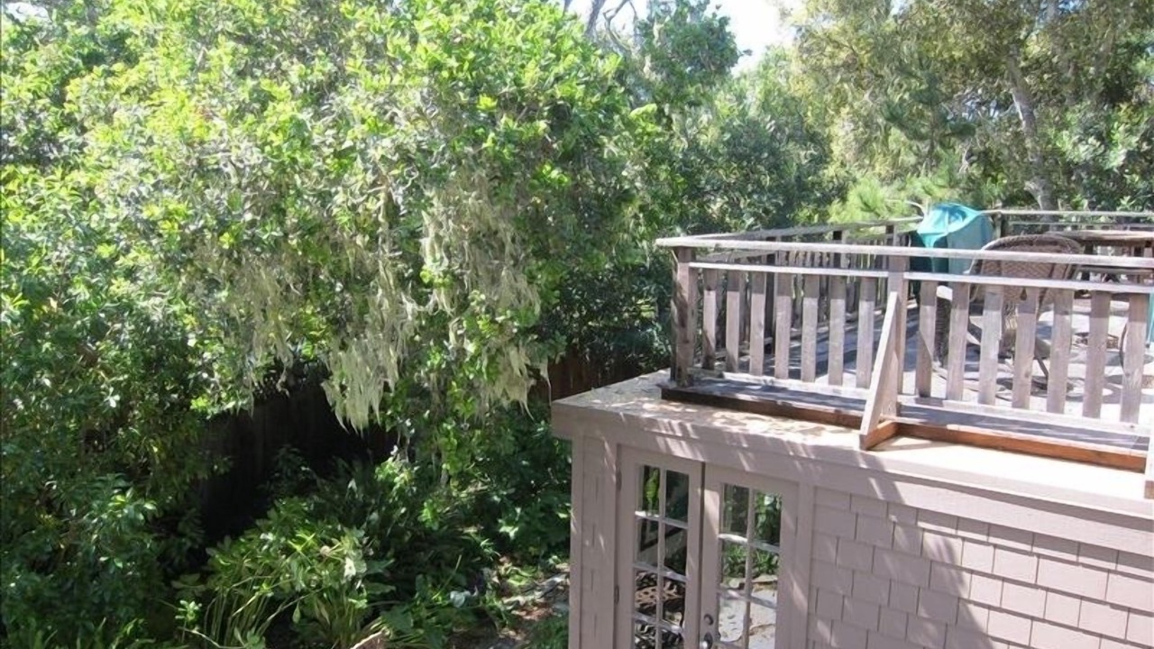 Photo of Outdoor in Marine Terrace