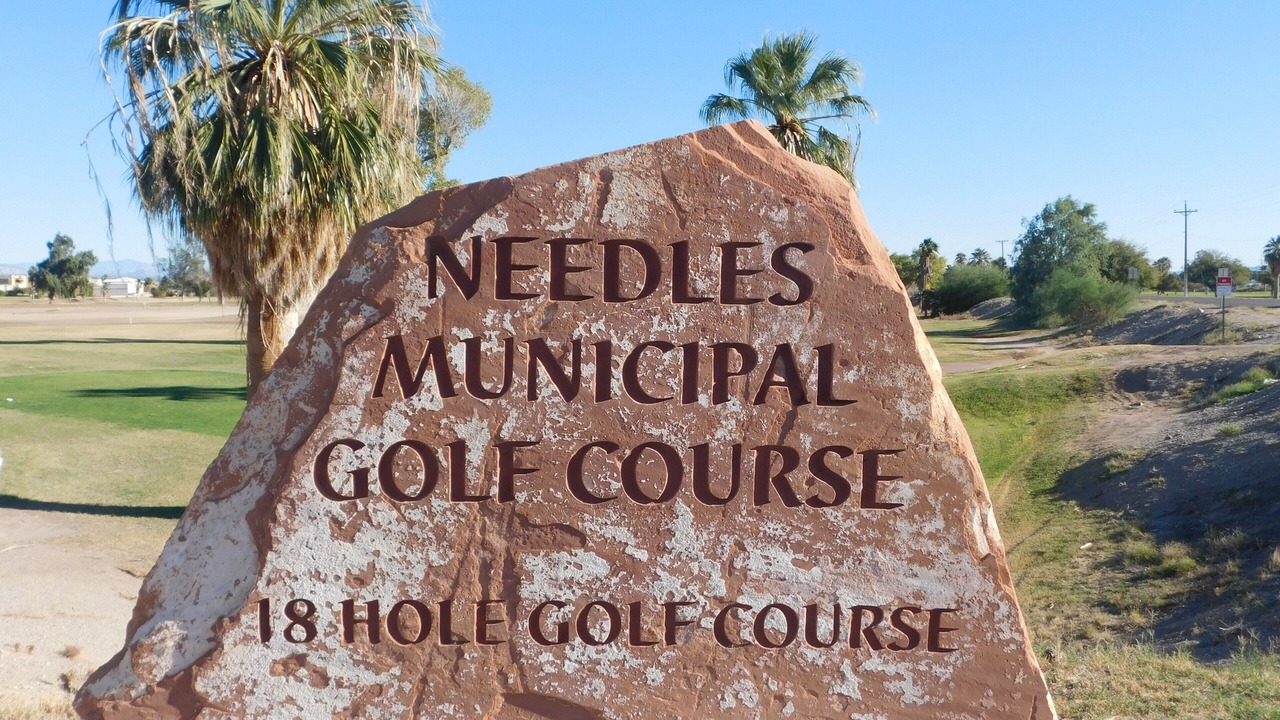 Photo of Others in Needles