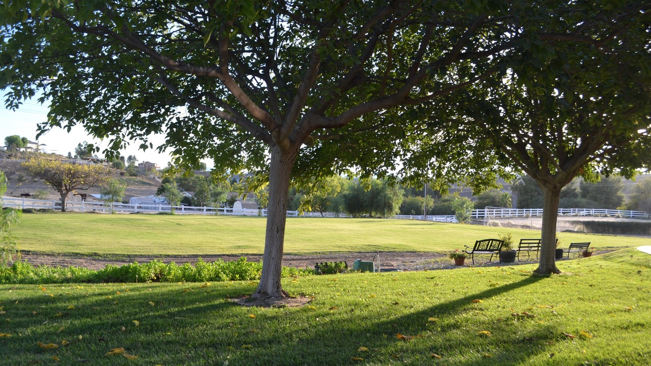 Photo of Others in Temecula