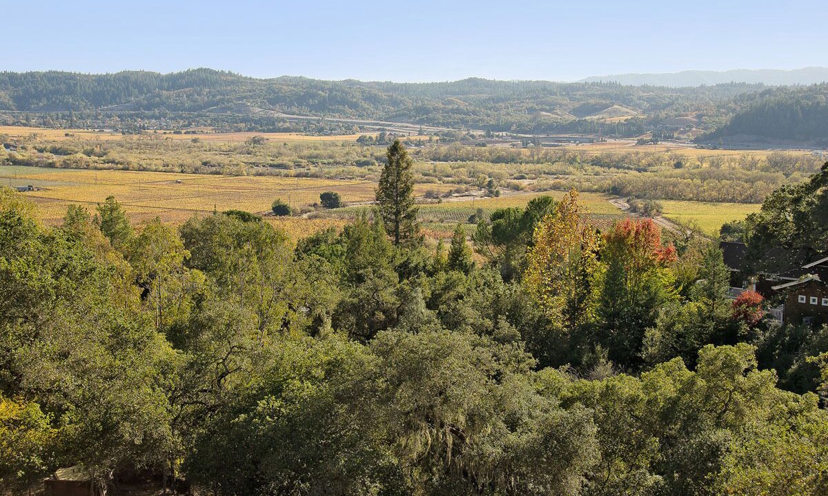 Photo of Others in Geyserville