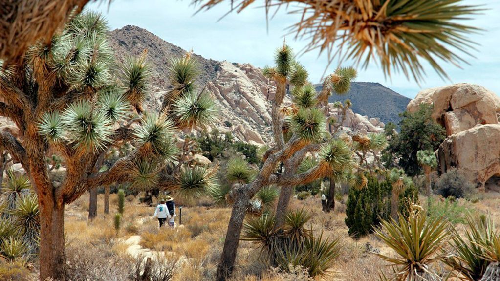 Photo of Outdoor in Desert Hot Springs