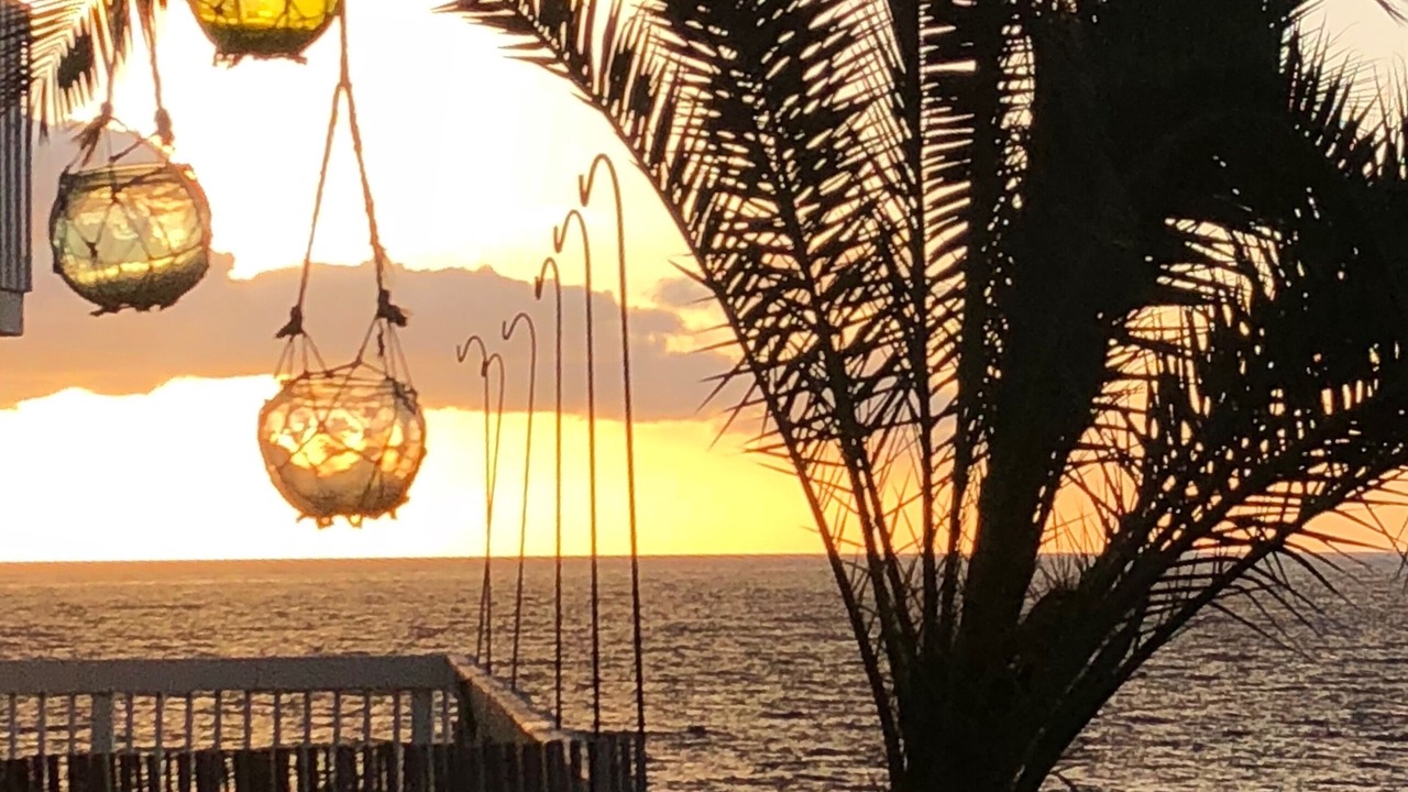 Photo of Outdoor in South Redondo