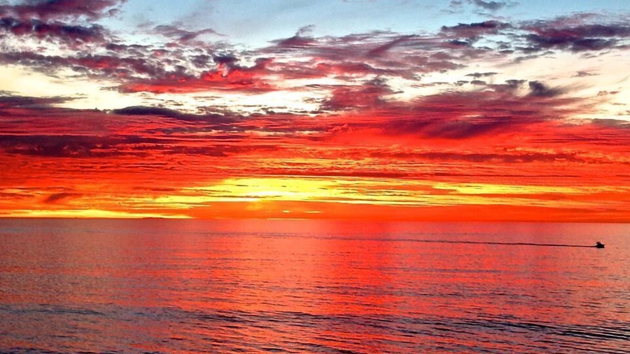 Photo of Others in South Redondo