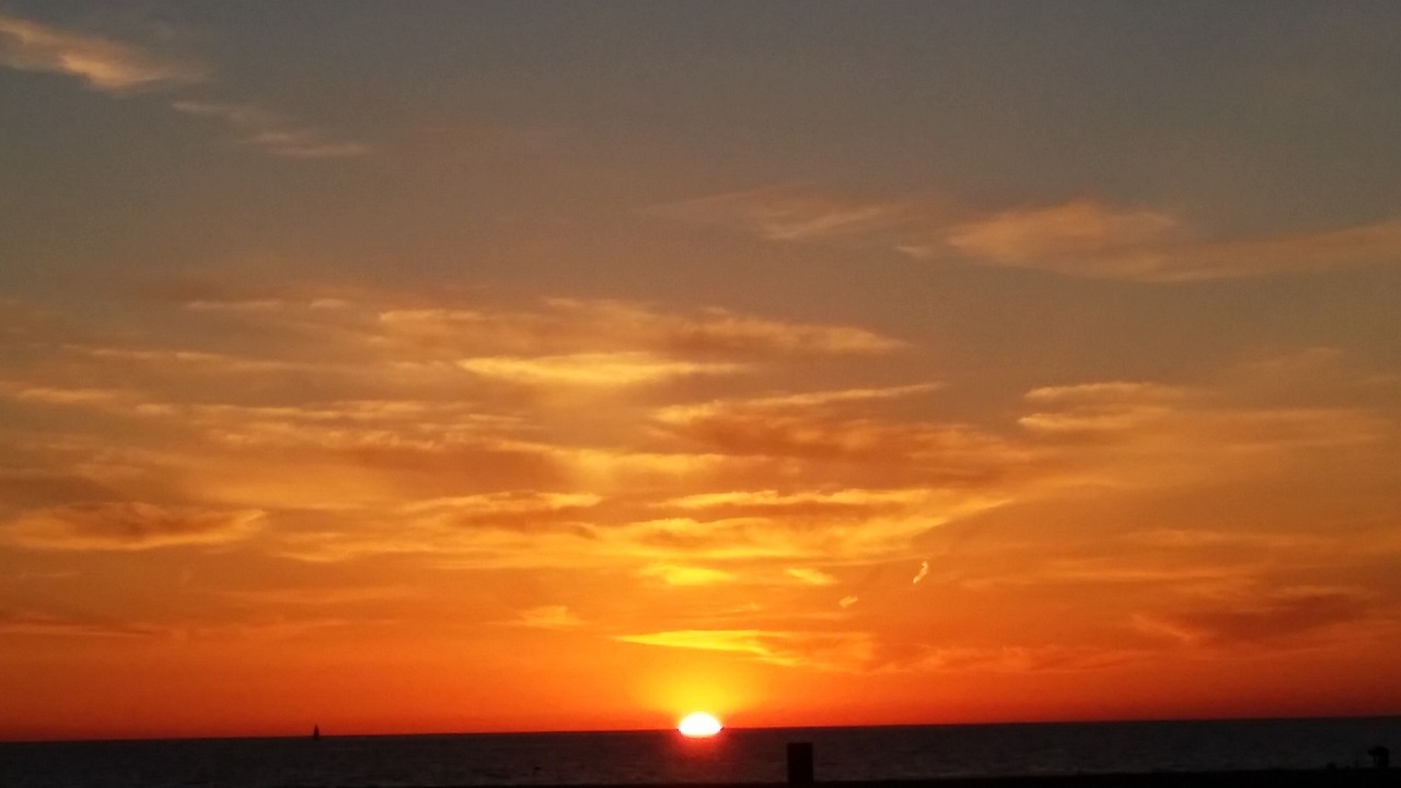 Photo of Others in Hermosa Beach