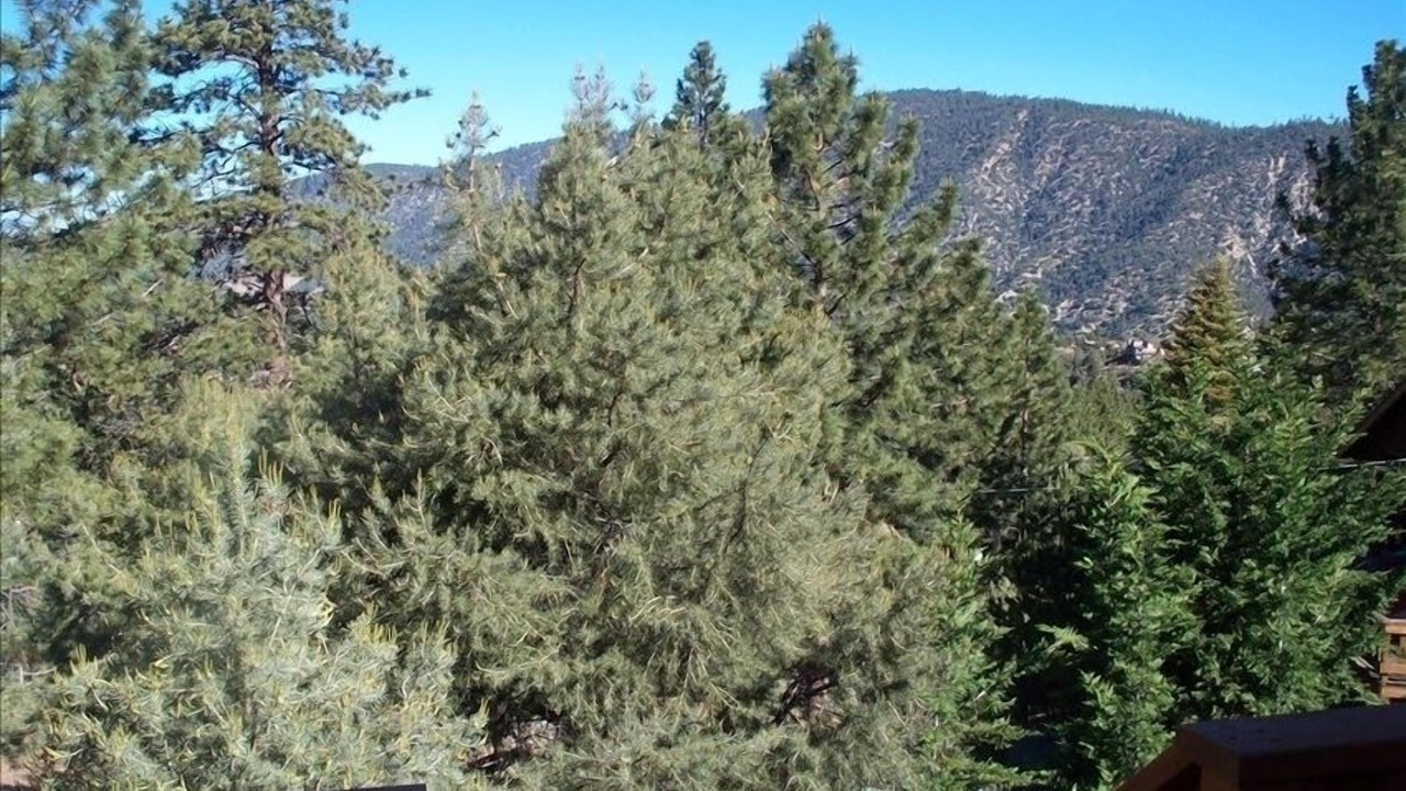 Photo of Others in Pine Mountain Club