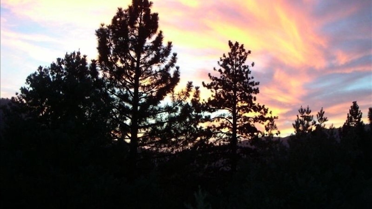 Photo of Others in Pine Mountain Club