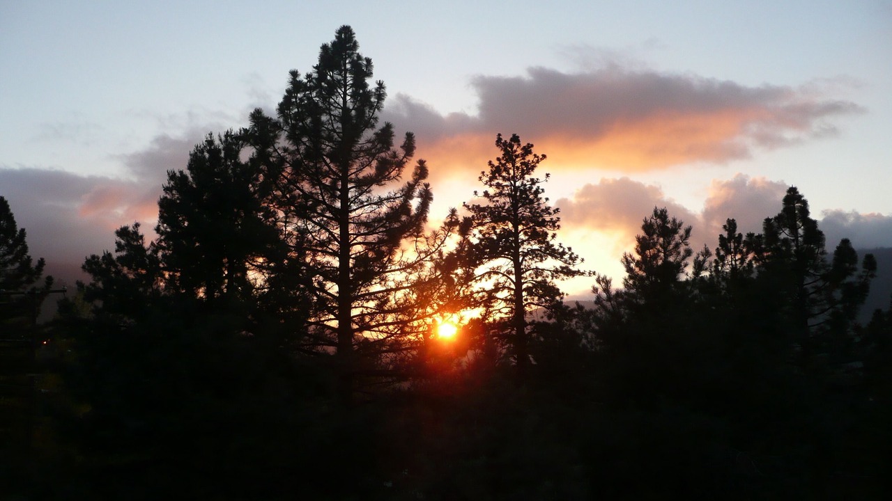 Photo of Others in Pine Mountain Club