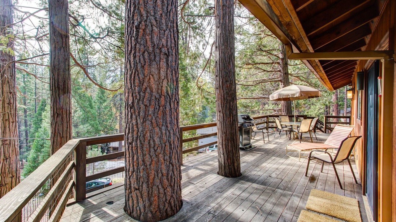 Photo of Others in North Wawona