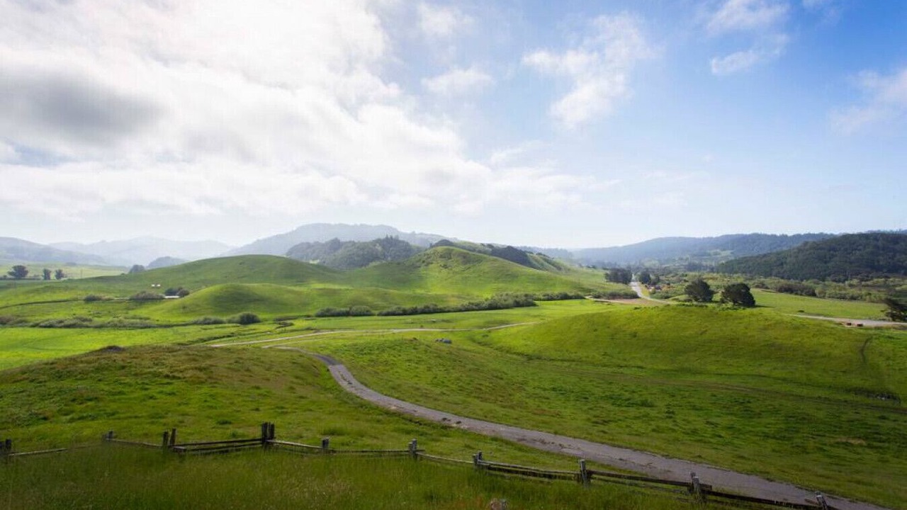 Photo of Others in Nicasio