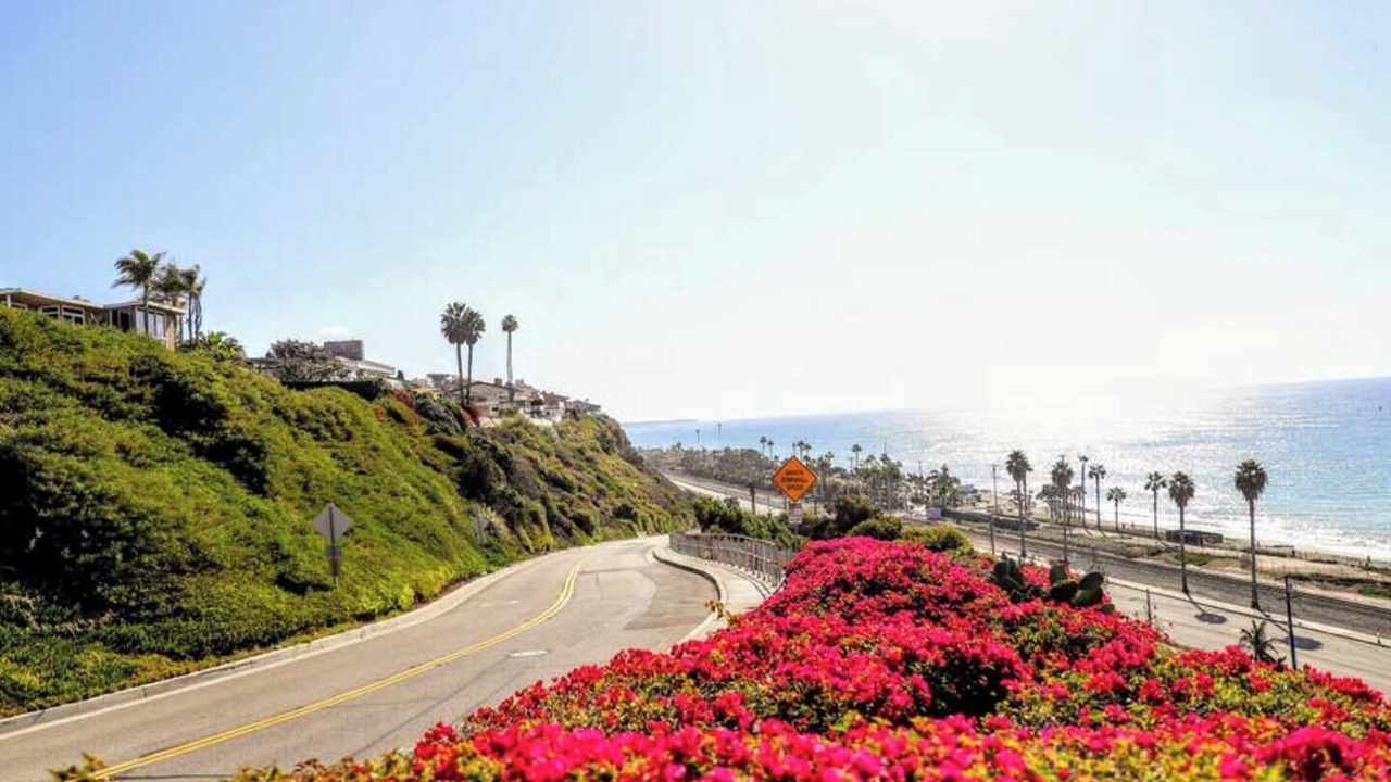 Photo of Others in Capistrano Beach