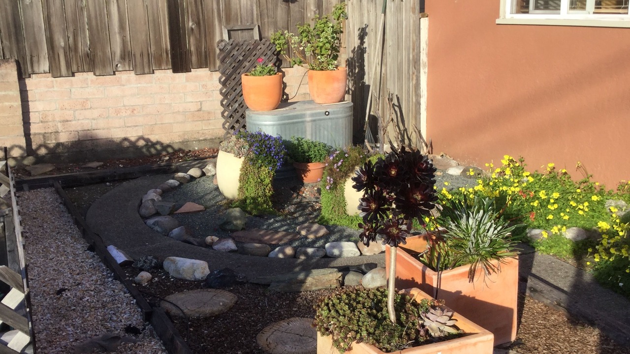Photo of Outdoor in Petaluma