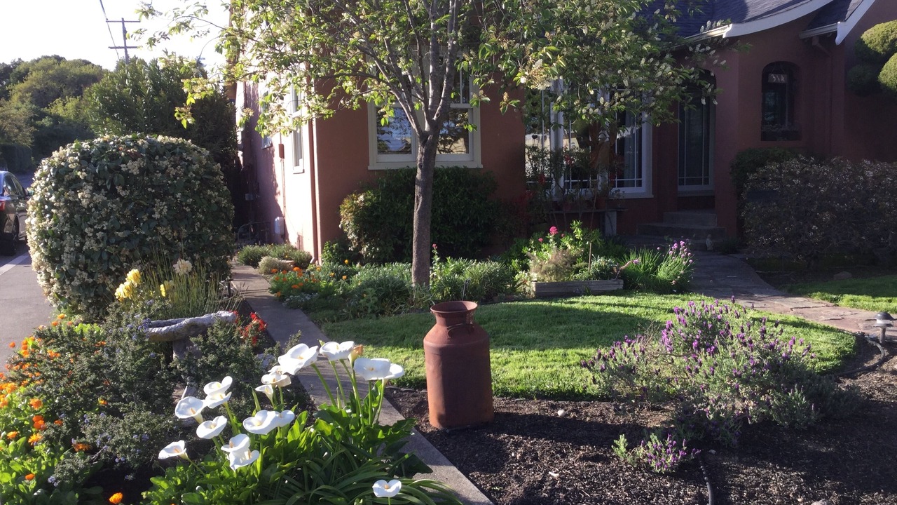 Photo of Outdoor in Petaluma