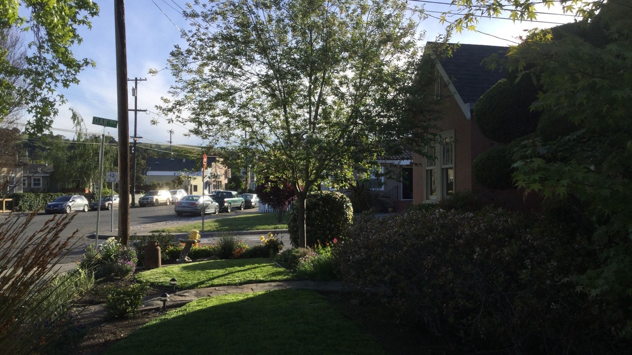 Photo of Outdoor in Petaluma