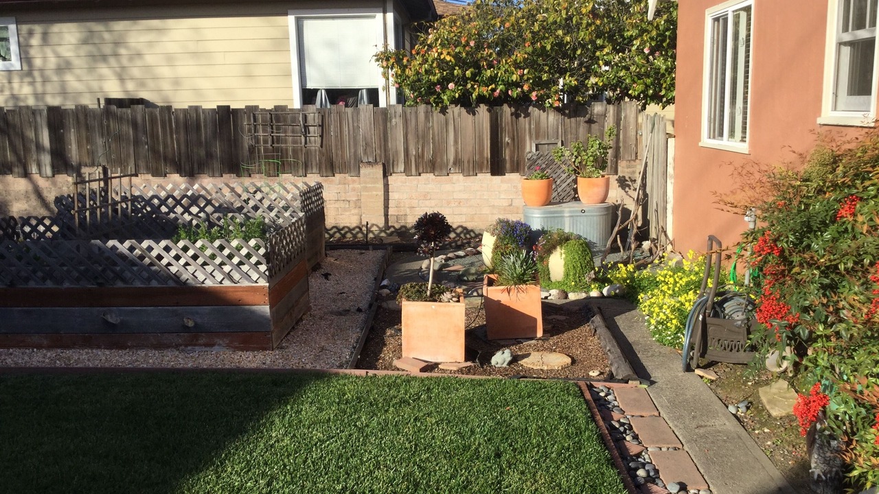 Photo of Outdoor in Petaluma