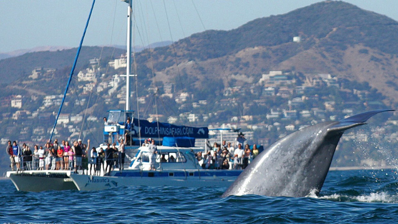 Photo of Others in Del Obispo