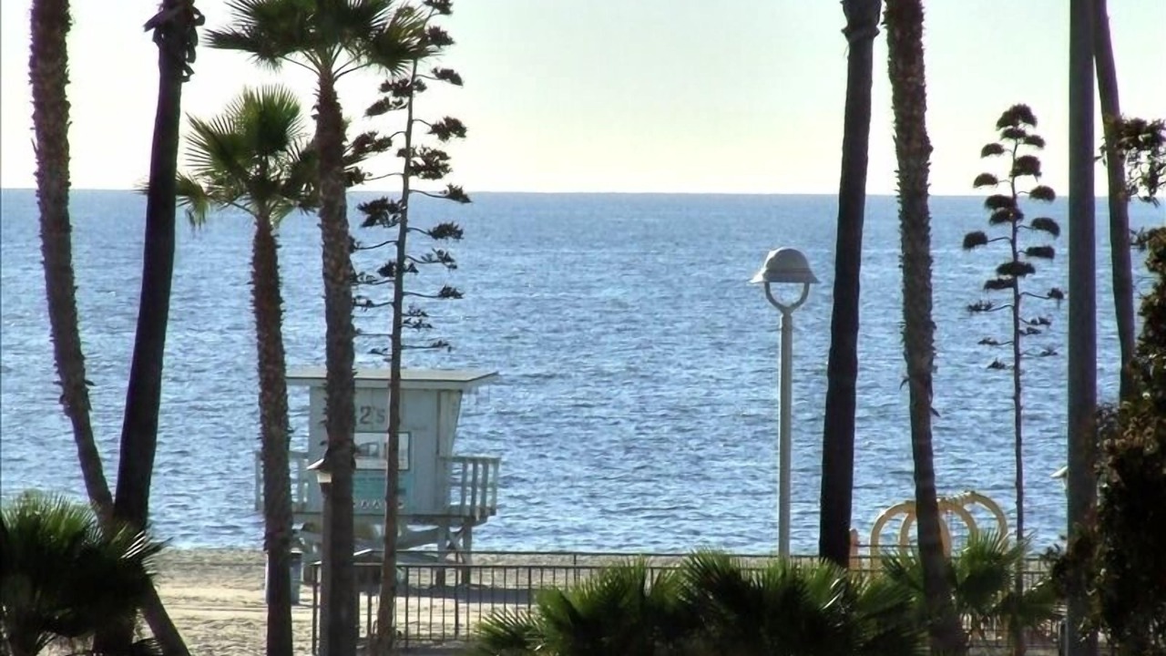 Photo of Others in Hermosa Beach