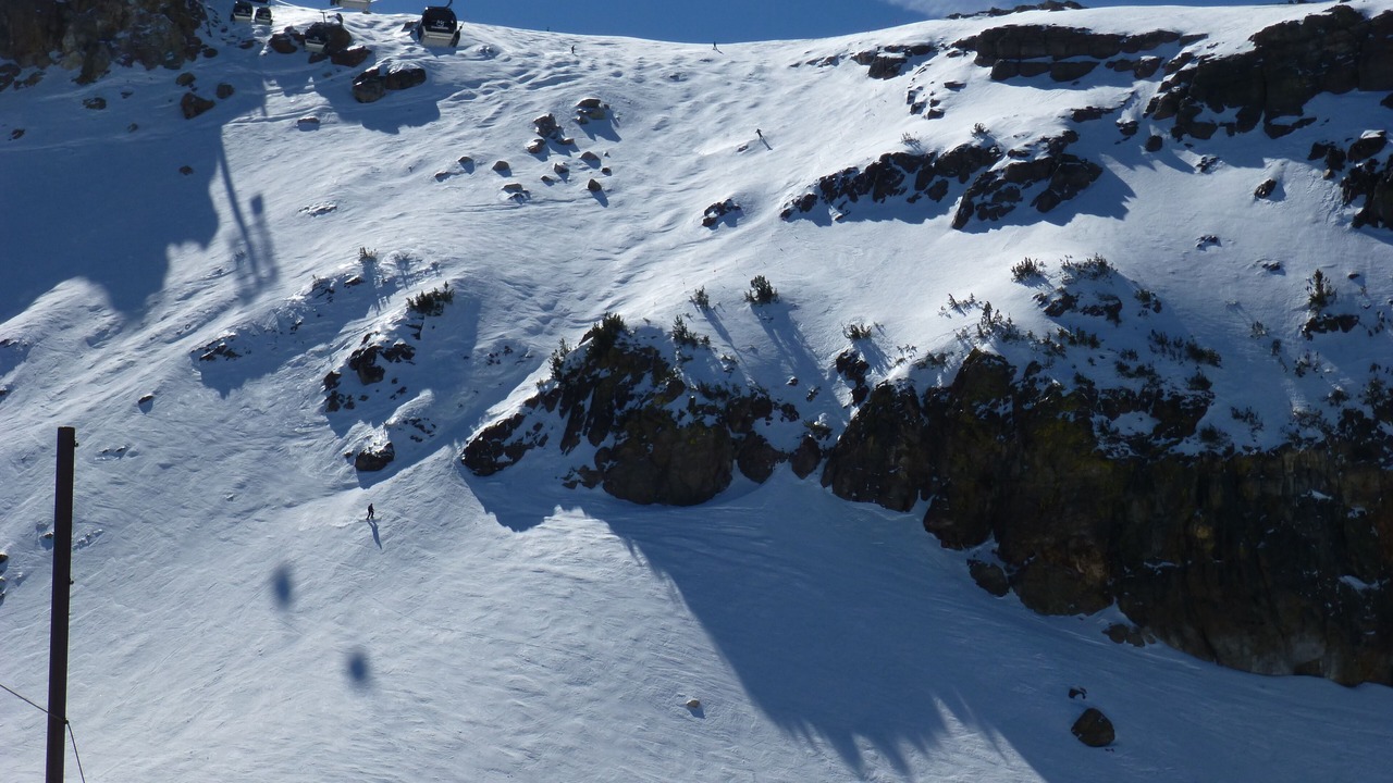 Photo of Others in Majestic Pines