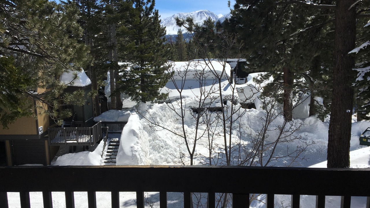 Photo of Patio Balcony in Majestic Pines