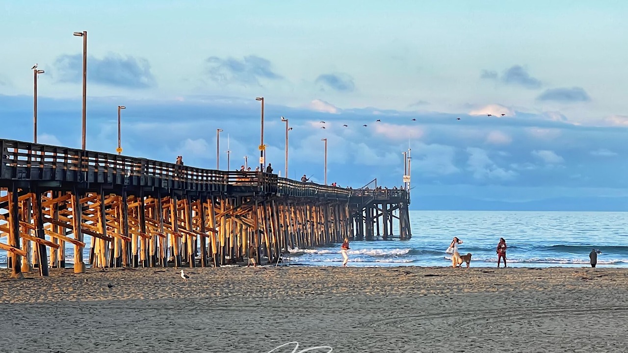 Photo of Others in West Newport