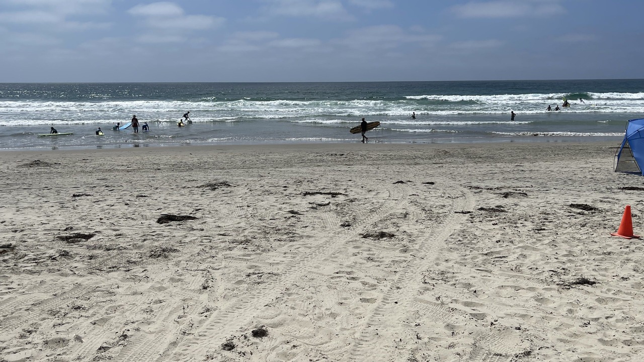 Photo of Others in South Mission Beach