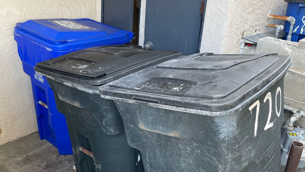 Photo of Outdoor in South Mission Beach