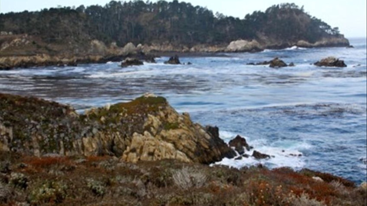 Photo of Others in Carmel Highlands