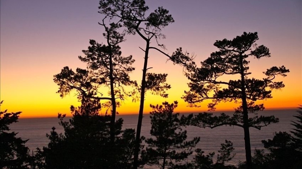 Photo of Others in Carmel Highlands