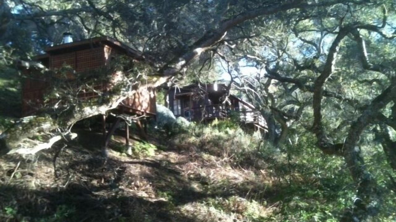 Photo of Others in Carmel