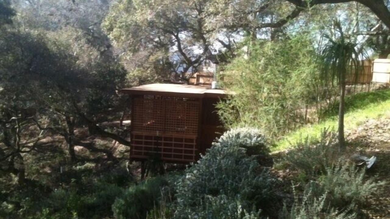 Photo of Outdoor in Carmel