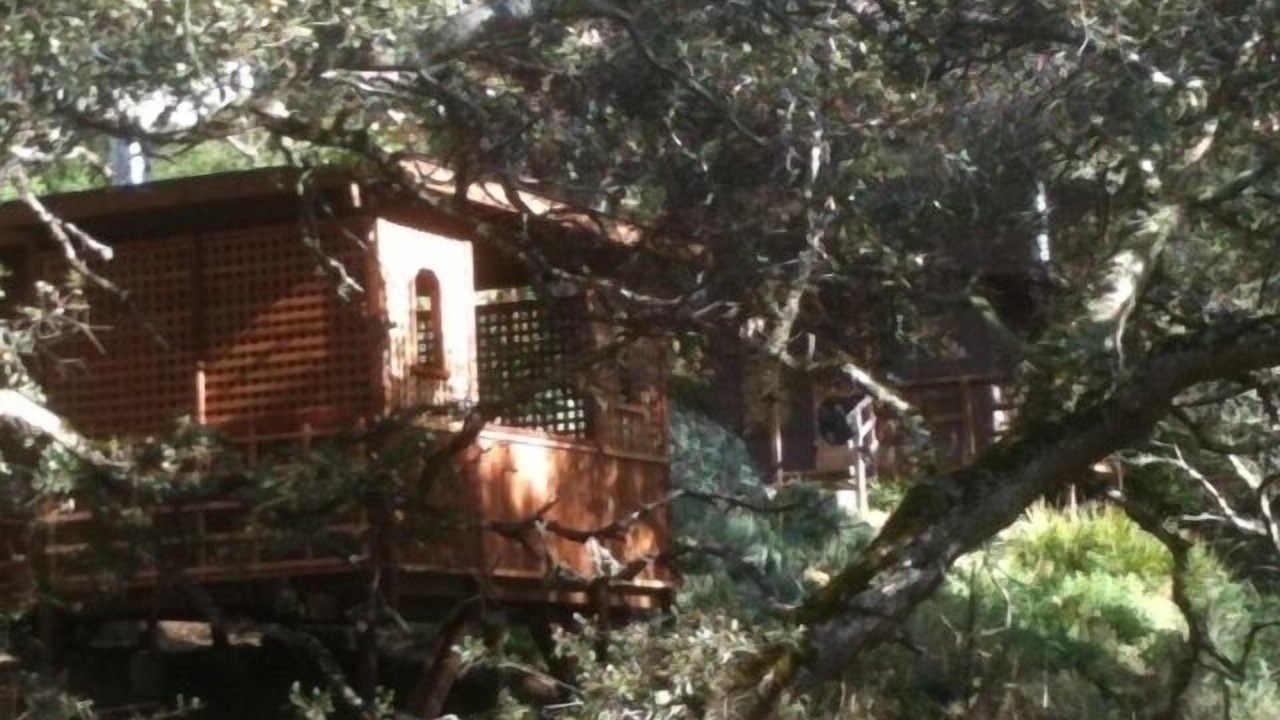 Photo of Outdoor in Carmel